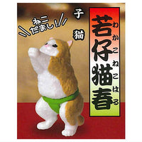 Animal sumoubanzuke daikinboshi [3.Wakakonekoharu (kitten)]