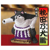 Animal sumoubanzuke daikinboshi [4.Akitanoinuho (akita inu)]