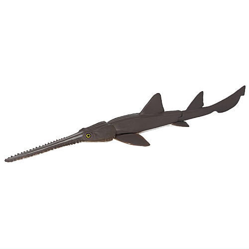 The world of the blue sea The Shark Sand tiger shark [3