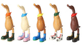 Asian Interior Goods Boots Duck [All 5 type set(Full Complete)]