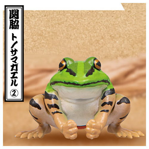 Frog rikishi hakkeyoi figure Part.2 [4.Sekiwake Tonosama frog (2)]