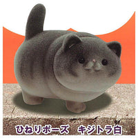 Ushihito's Pocha Pocha Cat-sama Flocky Figure Part.2 [2.Hineri pose kijitora white]