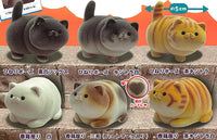 Ushihito's Pocha Pocha Cat-sama Flocky Figure Part.2 [All 6 type set(Full Complete)]