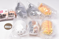 Ushihito's Pocha Pocha Cat-sama Flocky Figure Part.2 [All 6 type set(Full Complete)]