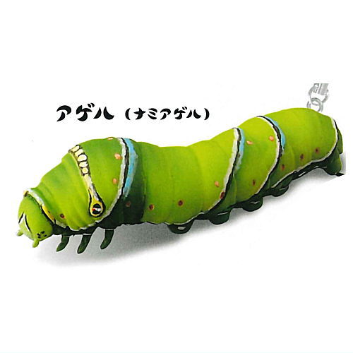 Capsule Q Museum Imokore! Japanese Caterpillar Strap Collection Vol.5 [1.Asian Swallowtail]