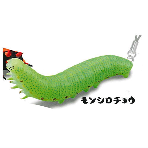 Capsule Q Museum Imokore! Japanese Caterpillar Strap Collection Vol.5 [3.cabbage butterfly]