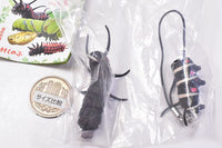 Capsule Q Museum Imokore! Japanese Caterpillar Strap Collection Vol.5 [4.Idea leuconoe]