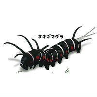 Capsule Q Museum Imokore! Japanese Caterpillar Strap Collection Vol.5 [4.Idea leuconoe]