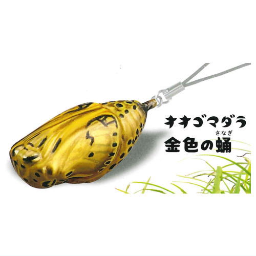 Capsule Q Museum Imokore! Japanese Caterpillar Strap Collection Vol.5 [5.Idea leuconoe (golden pupa)]