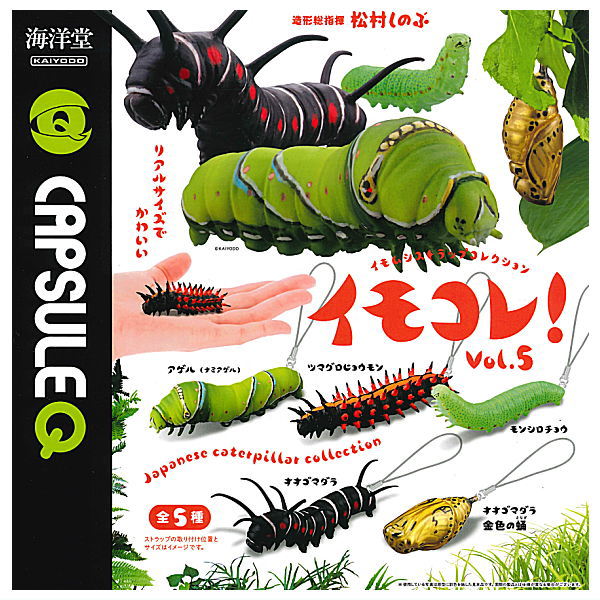 Capsule Q Museum Imokore! Japanese Caterpillar Strap