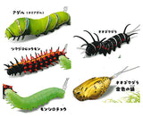 Capsule Q Museum Imokore! Japanese Caterpillar Strap Collection Vol.5 [All 5 type set(Full Complete)]