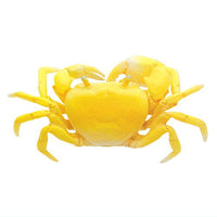 Nature Techni Colour MONO PLUS Freshwater crab figure mascot [4.Gold]