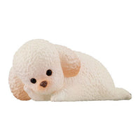 Sotto mimamorisan Part.2 [4.Toy poodle (cream)]