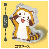 Rascal Chocryl! [1.Standing pose]