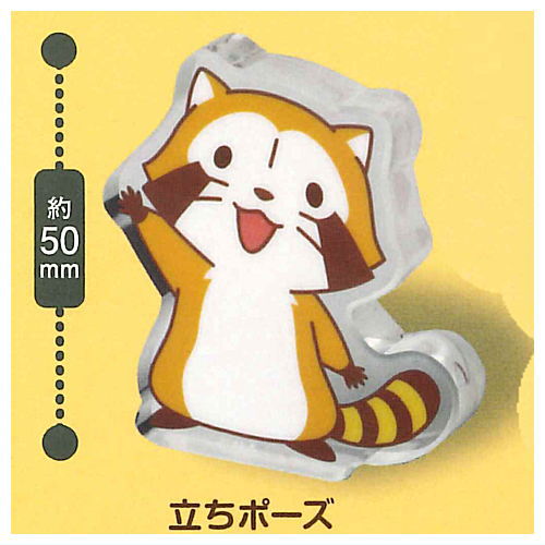 Rascal Chocryl! [1.Standing pose]