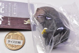 TAMA-KYU Reading Figure Mascot [3.Bear]