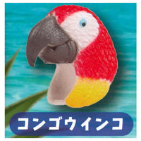 Torisannno Yubiwa [2.Macaw]