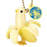 Hanging banana parakeet [1.Banana parakeet]