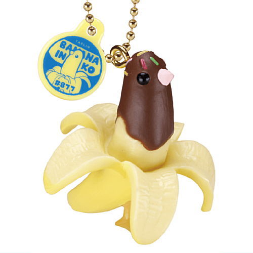 Hanging banana parakeet [2.Chocolate banana parakeet]