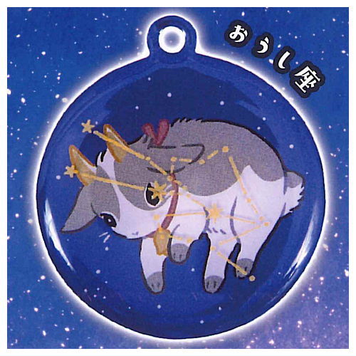 Rabbit constellation metal keychain [2.Taurus]