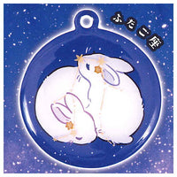 Rabbit constellation metal keychain [3.Gemini]