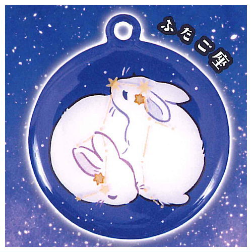 Rabbit constellation metal keychain [3.Gemini]