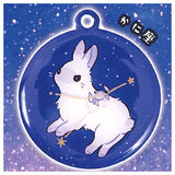 Rabbit constellation metal keychain [4.Cancer]