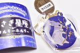 Rabbit constellation metal keychain [9.Sagittarius]