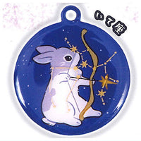 Rabbit constellation metal keychain [9.Sagittarius]