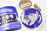 Rabbit constellation metal keychain [10.Capricorn]