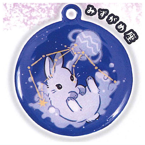 Rabbit constellation metal keychain [11.Aquarius]