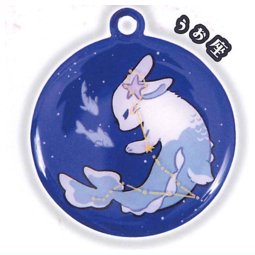 Rabbit constellation metal keychain [12.Pisces]