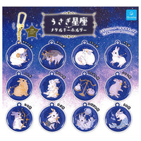 Rabbit constellation metal keychain [All 12 type set(Full Complete)]