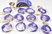 Rabbit constellation metal keychain [All 12 type set(Full Complete)]