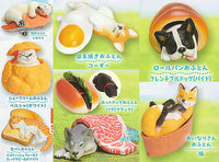 Animal Attraction Oishiiofuton tenkomori [All 8 type set(Full Complete)]