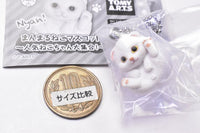 Manmaru Animals Manmaru cat Mascot Popular Cat daishugo! [2.Scottish fold (white)]