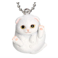 Manmaru Animals Manmaru cat Mascot Popular Cat daishugo! [2.Scottish fold (white)]