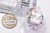 Manmaru Animals Manmaru cat Mascot Popular Cat daishugo! [4.Calico cat]