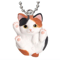 Manmaru Animals Manmaru cat Mascot Popular Cat daishugo! [4.Calico cat]