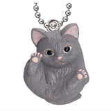 Manmaru Animals Manmaru cat Mascot Popular Cat daishugo! [5.Russian Blue]