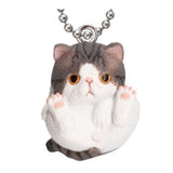 Manmaru Animals Manmaru cat Mascot Popular Cat daishugo! [6.Exotic shorthair (brown tabby & white)]