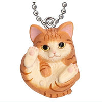 Manmaru Animals Manmaru cat Mascot Popular Cat daishugo! [7.Brown tabby]