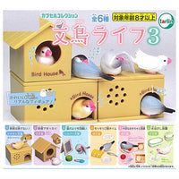 Java sparrow life Part.3 [All 6 type set(Full Complete)]