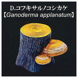 Tree mushroom collection vol.1 [4.Kofuki sarunokoshikake]