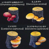 Tree mushroom collection vol.1 [All 4 type set(Full Complete)]