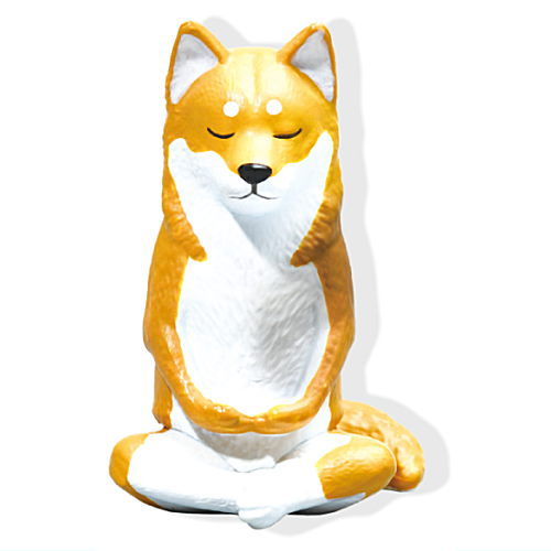 Zazen [3.Shiba Inu]