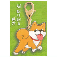 Zu-tto Issho Shibainu Metal Charm [1.Kakemawaru Shibainu]