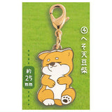 Zu-tto Issho Shibainu Metal Charm [4.Hesoten Mameshiba]