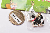 Zu-tto Issho Shibainu Metal Charm [5.Kuro Mameshiba]