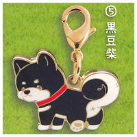 Zu-tto Issho Shibainu Metal Charm [5.Kuro Mameshiba]